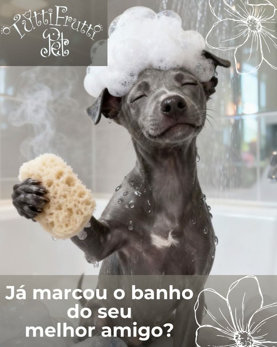 Cãozinho com espuma na cabeça e esponja na pata: já marcou o banho do seu melhor amigo?